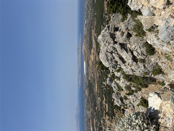 IMG 0152