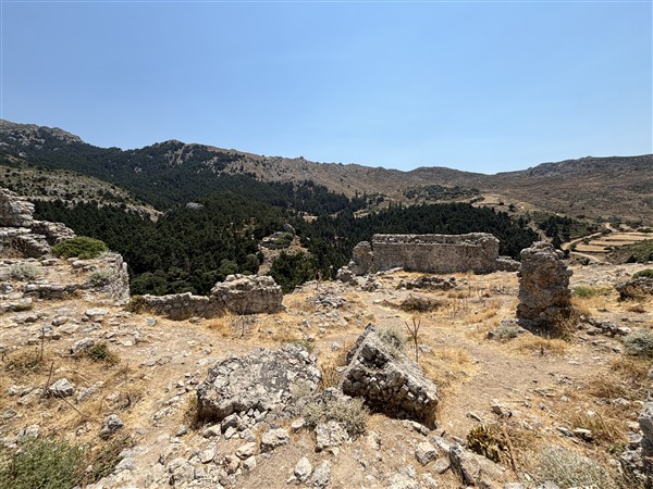 IMG 0201