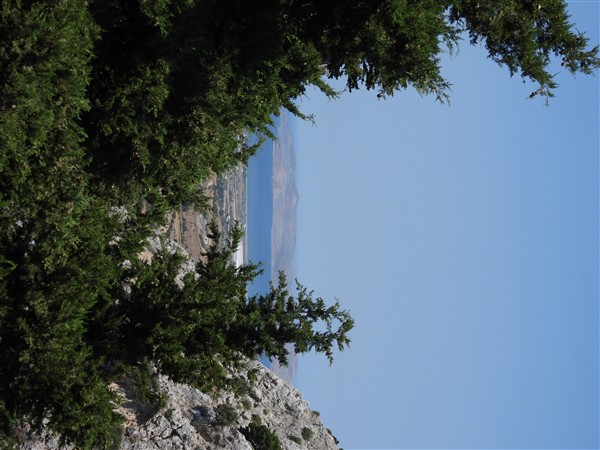 DSCN0119