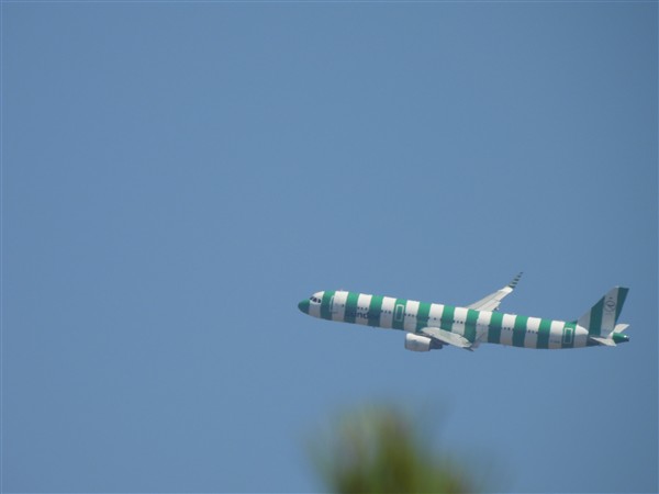 DSCN0211