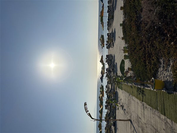 IMG 0446